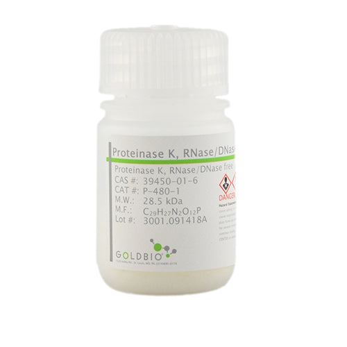 Proteinase K, RNase/DNase free