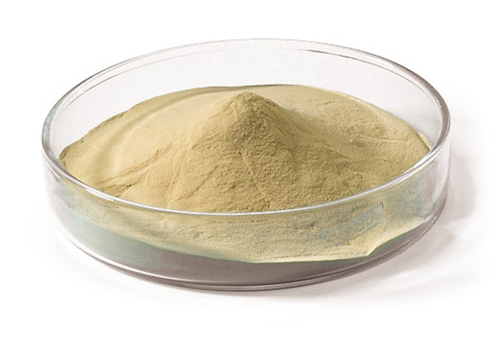 Yeast Extract Powdered