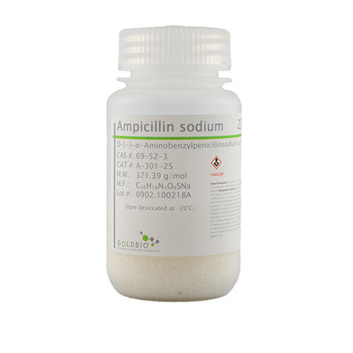 Ampicillin (Sodium) USP Grade