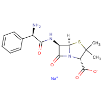 Ampicillin (Sodium)