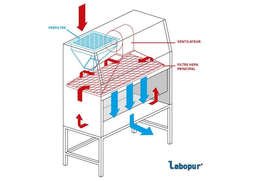 Vertical laminar air flow cabinet