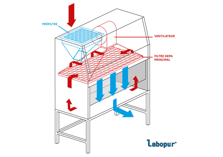 Vertical laminar air flow cabinet