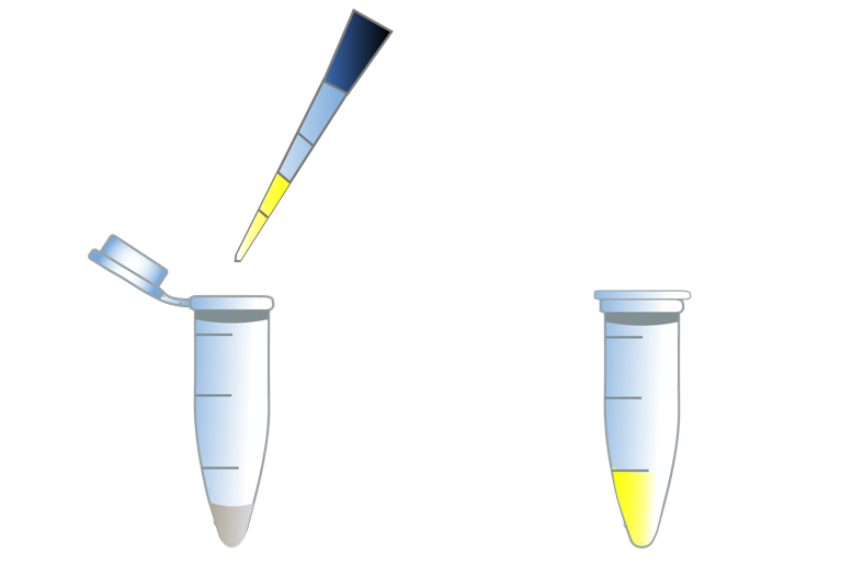 Illumination™ Lyophilized Firefly Luciferase Enhanced Assay Kit