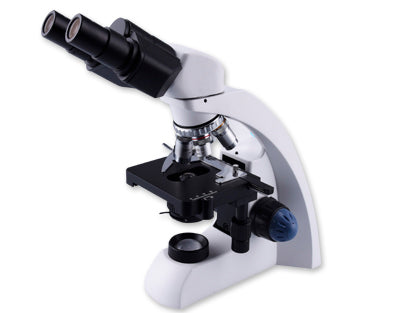 Binocular microscope