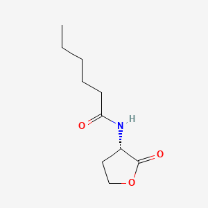 N-Hexanoyl-L-homoserine lactone